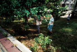 A group of people standing around a tree 